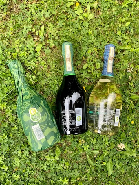Sustainability in Prosecco Production: The Role of SQNPI