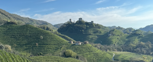 Sipping Through April: A Prosecco Adventure from Hills to Thrills
