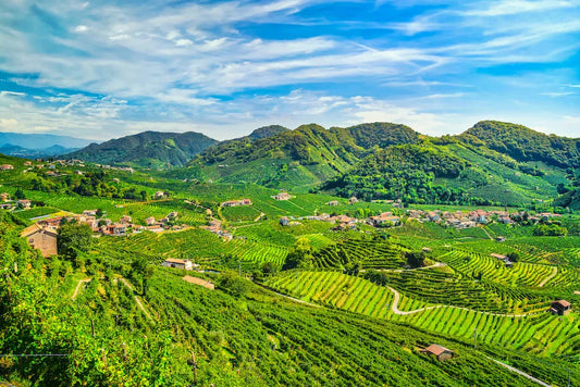 Hills of Conegliano Valdobbiadene: original Prosecco area